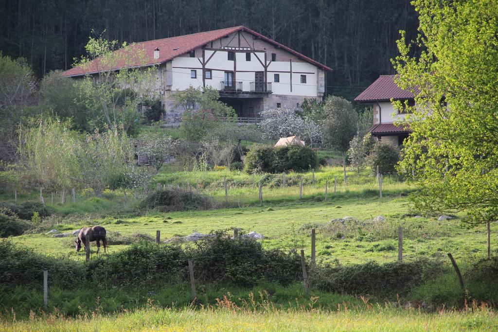 Ecohotel Rural Angiz ブストゥリア エクステリア 写真