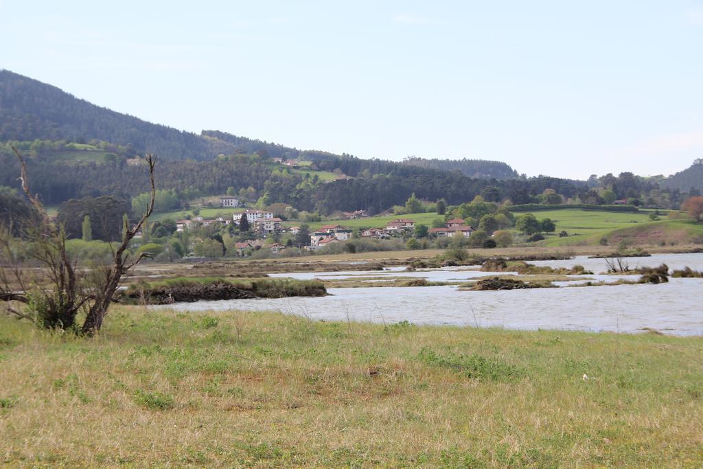 Ecohotel Rural Angiz ブストゥリア エクステリア 写真
