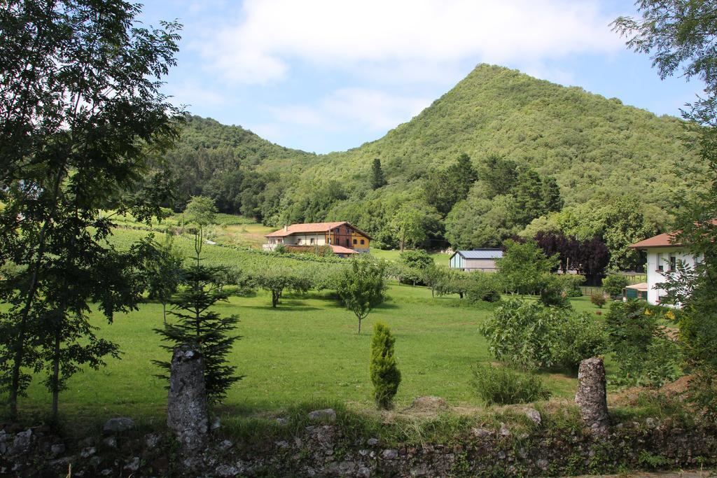 Ecohotel Rural Angiz ブストゥリア エクステリア 写真
